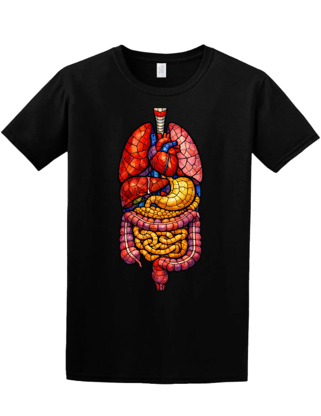 Stained Glass Anatomy Tee and Crewneck