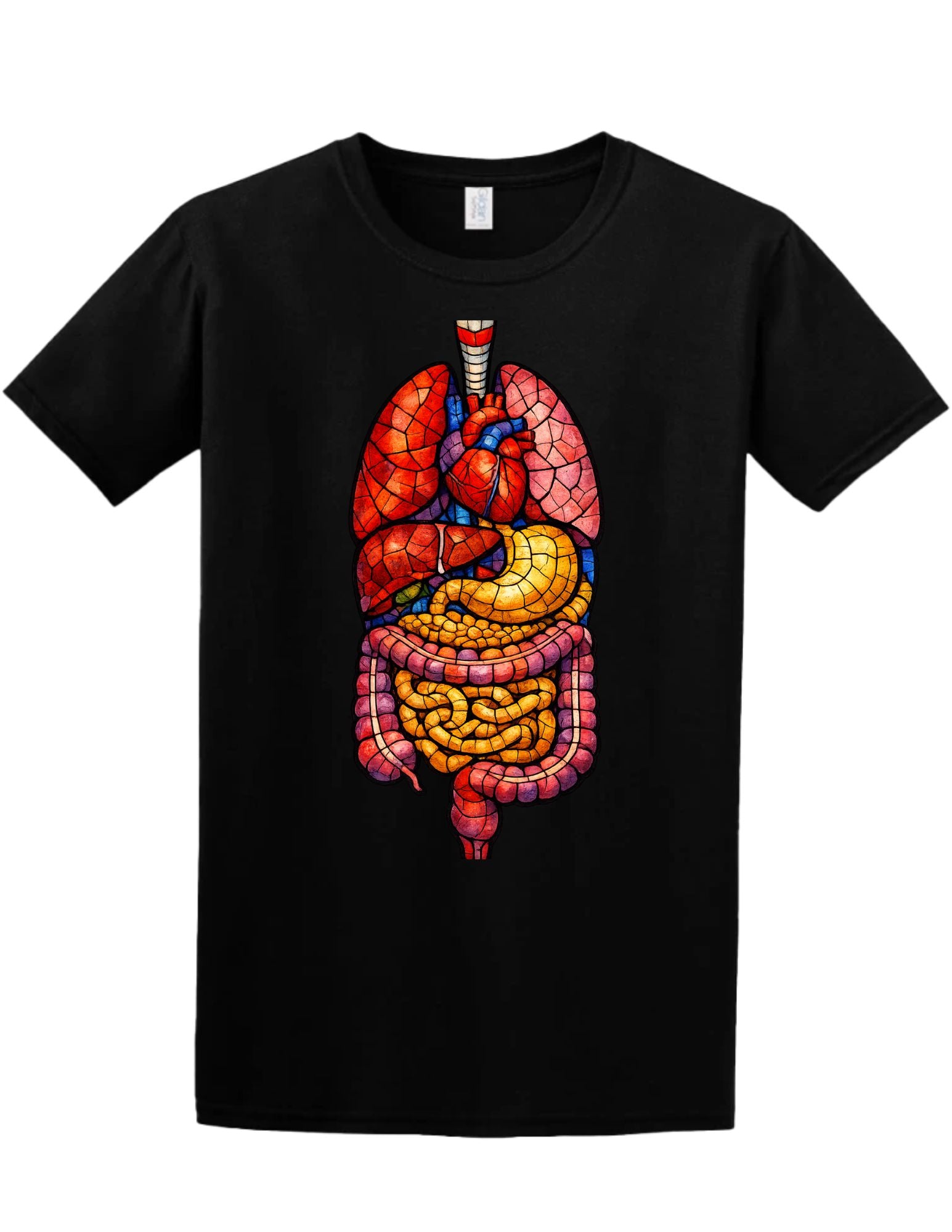 Stained Glass Anatomy Tee and Crewneck