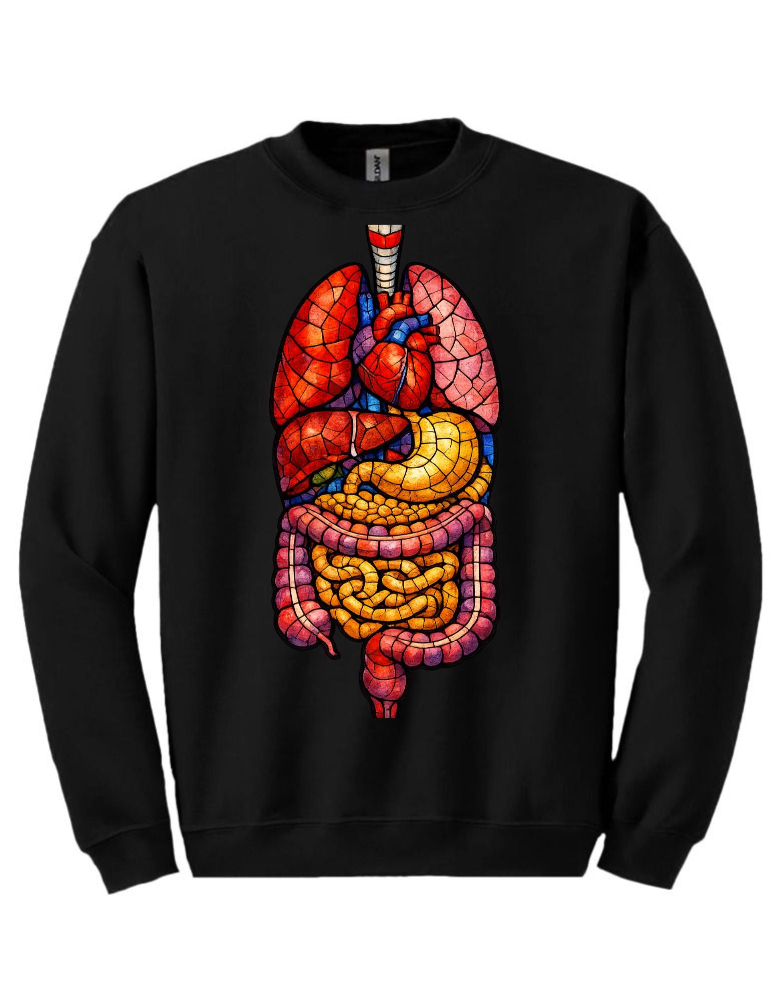 Stained Glass Anatomy Tee and Crewneck