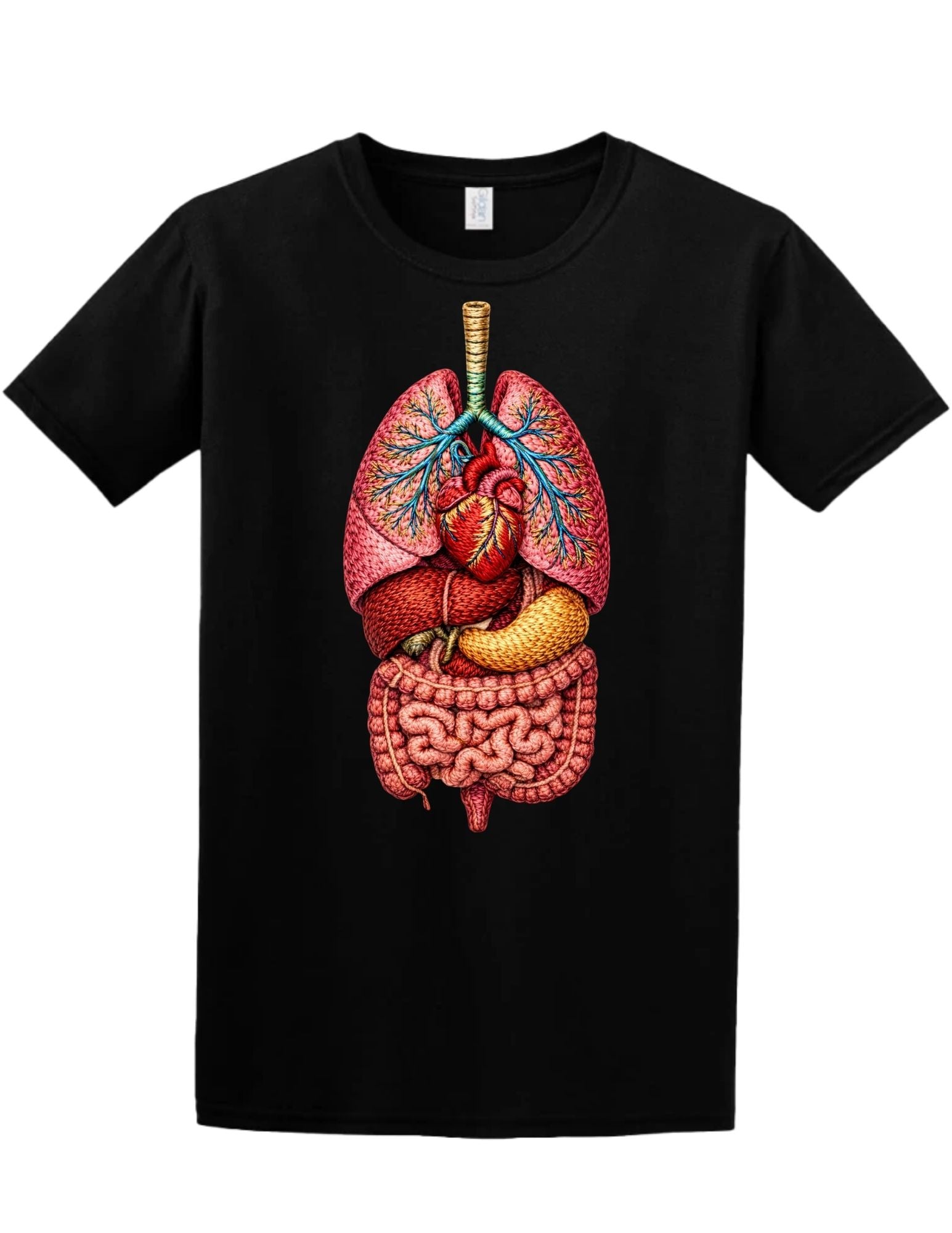 Embroidery Style Anatomy Tee and Crewneck