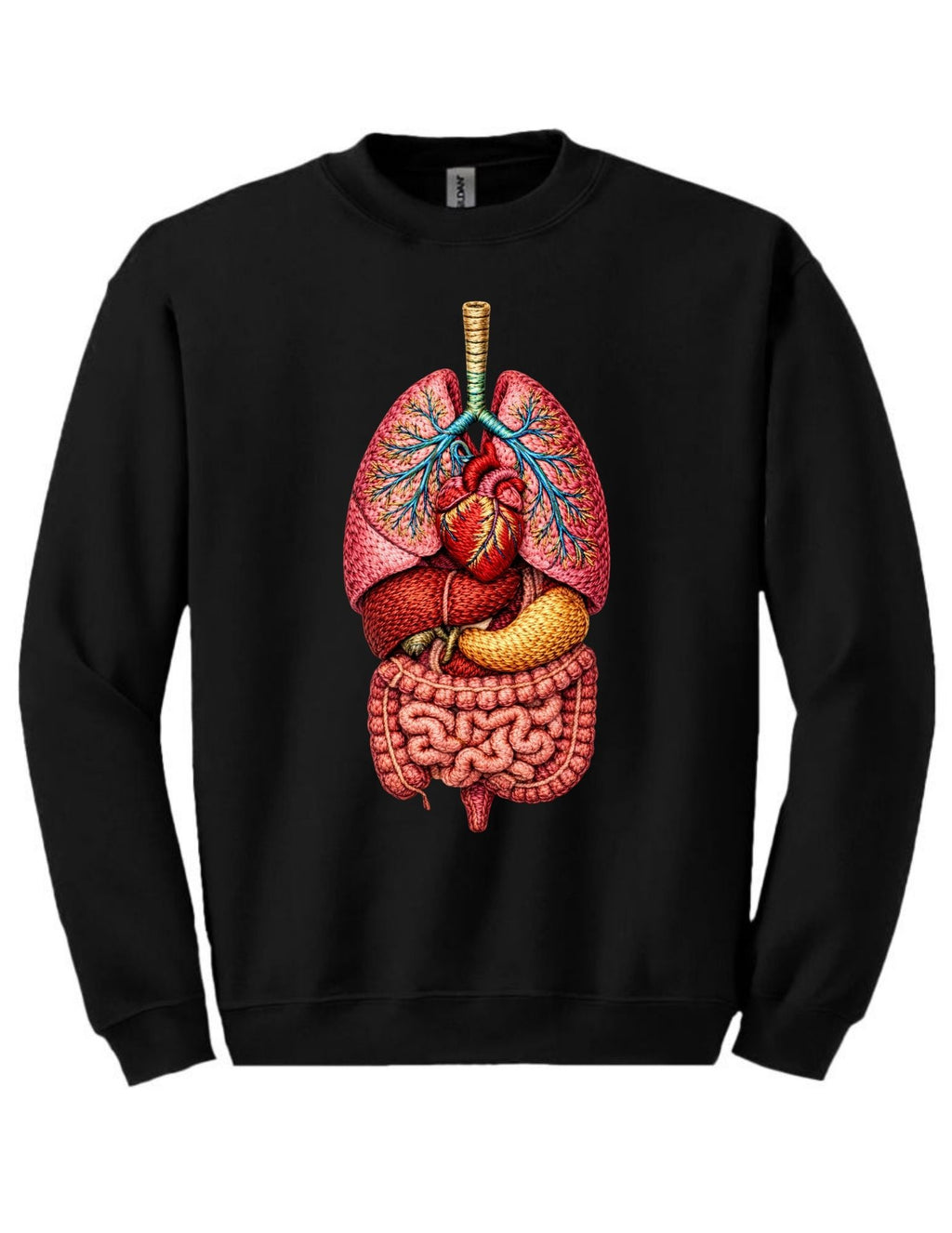Embroidery Style Anatomy Tee and Crewneck