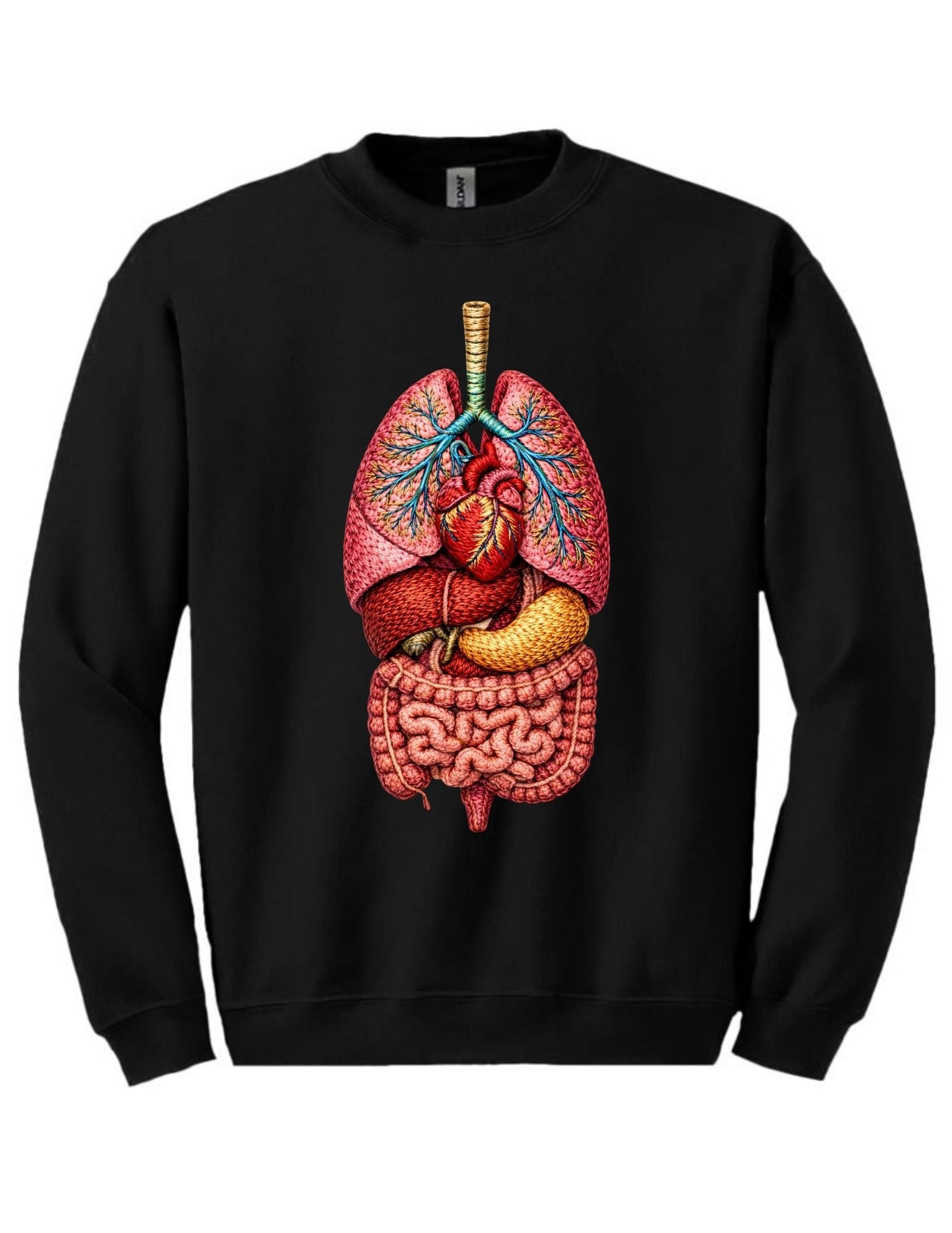 Embroidery Style Anatomy Tee and Crewneck